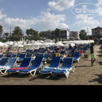 фото из отзыва ID 1837948