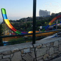 фото из отзыва ID 1837890