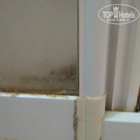 фото из отзыва ID 1837989