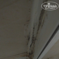 фото из отзыва ID 1837989