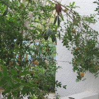 фото из отзыва ID 1838056