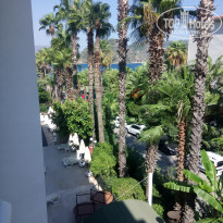 фото из отзыва ID 1838076