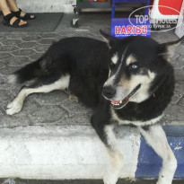 фото из отзыва ID 1838210