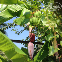 фото из отзыва ID 1838519