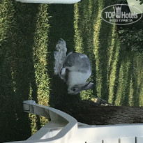 фото из отзыва ID 1838199