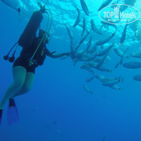 фото из отзыва ID 1838683