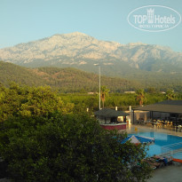 фото из отзыва ID 1838694