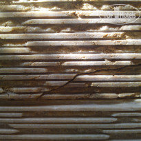 фото из отзыва ID 1838872