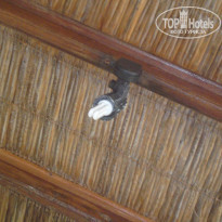 фото из отзыва ID 1838872