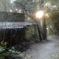 фото из отзыва ID 1838974