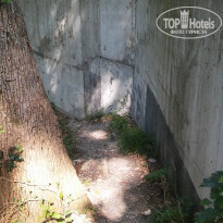 фото из отзыва ID 1838974