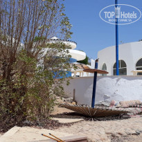 фото из отзыва ID 1839067