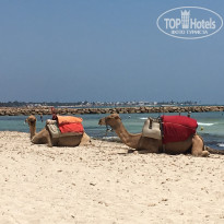 фото из отзыва ID 1839116