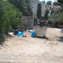 фото из отзыва ID 1839123