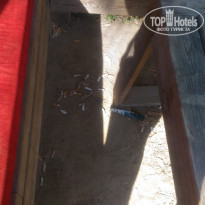 фото из отзыва ID 1839218