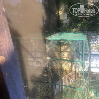 фото из отзыва ID 1839263