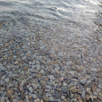 фото из отзыва ID 1839296