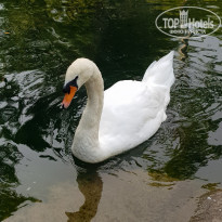 фото из отзыва ID 1839296