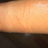 фото из отзыва ID 1839626