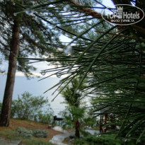 фото из отзыва ID 1839655