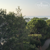 фото из отзыва ID 1839932