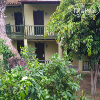 фото из отзыва ID 1836947