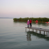 фото из отзыва ID 184164