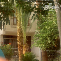 фото из отзыва ID 184513