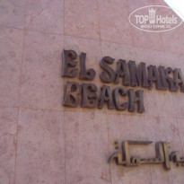 фото из отзыва ID 184800