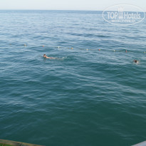 фото из отзыва ID 1840302