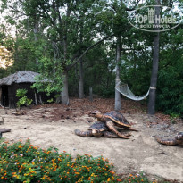 фото из отзыва ID 1840372