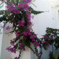 фото из отзыва ID 1840427