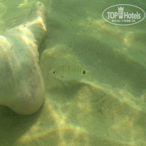 фото из отзыва ID 1840555