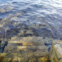 фото из отзыва ID 1840705