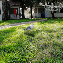 фото из отзыва ID 1840705