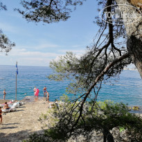 фото из отзыва ID 1840705