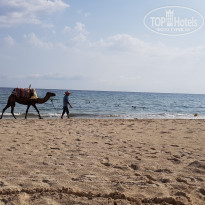 фото из отзыва ID 1840744