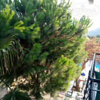 фото из отзыва ID 1840922