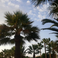 фото из отзыва ID 1841000