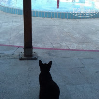 фото из отзыва ID 1841041