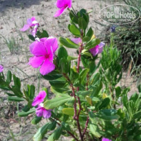 фото из отзыва ID 1841041