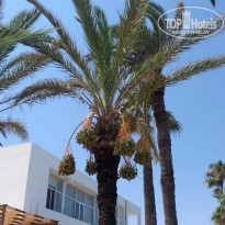 фото из отзыва ID 1841041