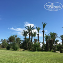 фото из отзыва ID 1841076