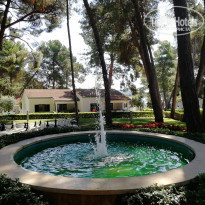 фото из отзыва ID 1840705