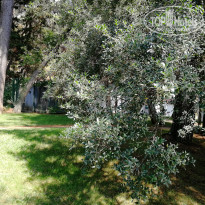 фото из отзыва ID 1840705