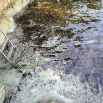 фото из отзыва ID 1840705