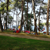 фото из отзыва ID 1840705