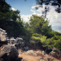 фото из отзыва ID 1841203