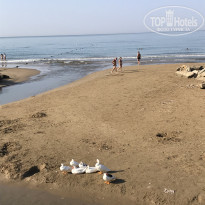 фото из отзыва ID 1841225