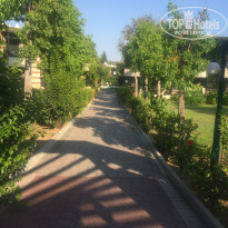 фото из отзыва ID 1841232